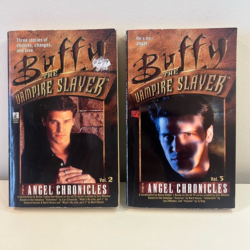 Buffy the Vampire Slayer The Angel Chronicles Vol. 2 & Vol. 3 - Paperback Set